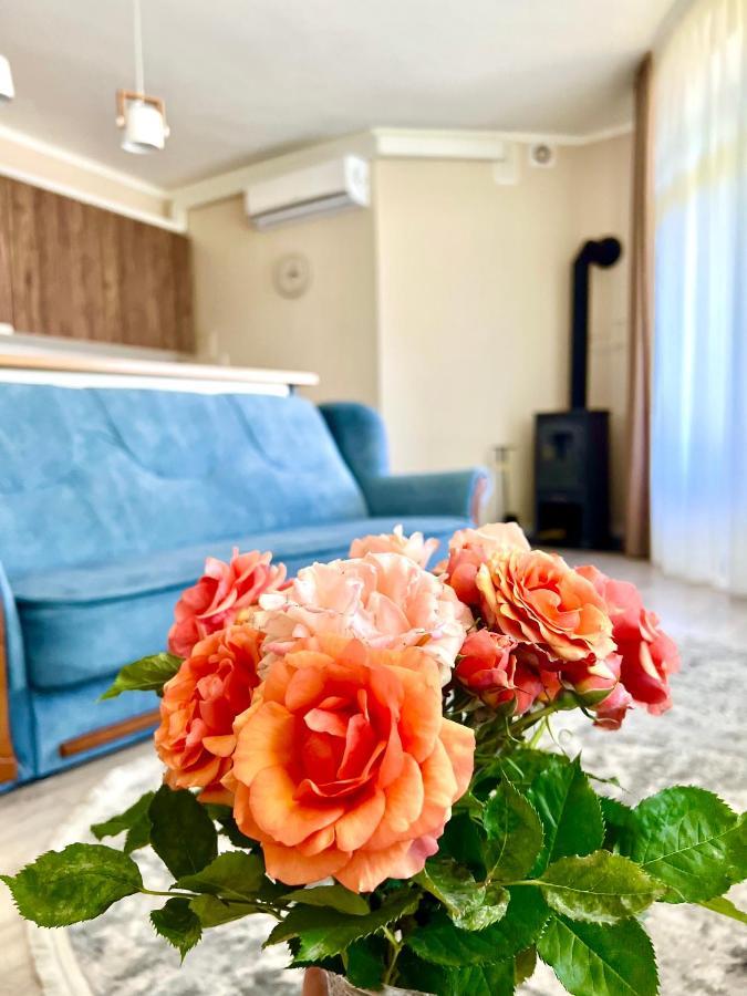 Appartement Авіа à Oujhorod Extérieur photo